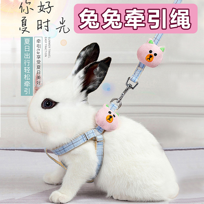 Fried rabbit traction rope anti-escape for special small dwarf Jew rabbit anti-bite adjustable bollarter Rabbit Rope God-Taobao