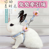 Slip rabbit traction rope anti-escape for special small dwarfs rabbit anti-bite adjustable bollards Rabbit Rope God