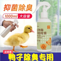 Small Duck Deodorant Spray Cole Duck Special Pet Rabbit Permalink to shit urine Smell to raise supplies for small chickens