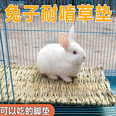Rabbit feet anti-nibbing bite mat specialty pygmy rabbit anti-card cage mesh leakage large pet duck grass