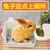 Туалет кролика, соломенная рама, два -в одном руководстве. Обучение фиксированному туалету, чтобы предотвратить случайные артефакты, большое дерьмо, бассейн мочи