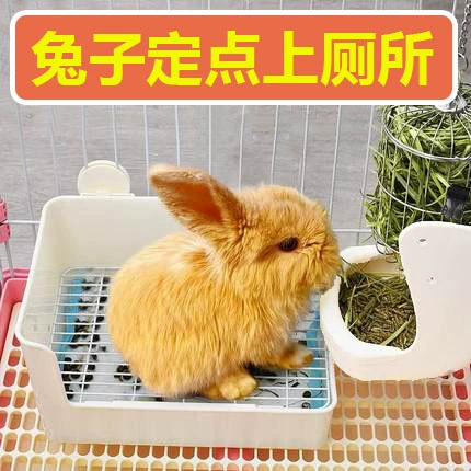 Туалет кролика, соломенная рама, два -в одном руководстве. Обучение фиксированному туалету, чтобы предотвратить случайные артефакты, большое дерьмо, бассейн мочи
