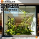Simulated Green Plant Landscaping Combination for Shopping Mall Interior Window and Balcony Decoration, Artificial Plant Landscaping Combination, Decorative Tree