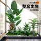 Simulated Green Plants for Landscaping, Indoor Landscape, Artificial Plant Combinations, Window Decoration, Courtyard Layout, Artificial Trees under Stairs