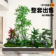 Simulated plant landscaping balcony landscape layout indoor artificial flower tree decoration under the stairs bionic green plant landscaping combination