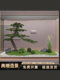Simulated Welcoming Pine Large Fake Tree Pine Tree Bionic Green Plant Landscaping Classy Accessible Luxury Indoor and Outdoor Landscape Plant Decoration