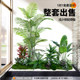 Artificial Green Plant Landscaping Combination for Window Decoration, Fake Plant Landscape for Courtyard Arrangement, Entrance Hall Indoor Atmosphere Tree