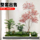 Simulated Green Plant Combination Landscaping under the Stairs, Tropical Artificial Plant Landscape, Artificial Trees, Indoor Potted Plant Decorations