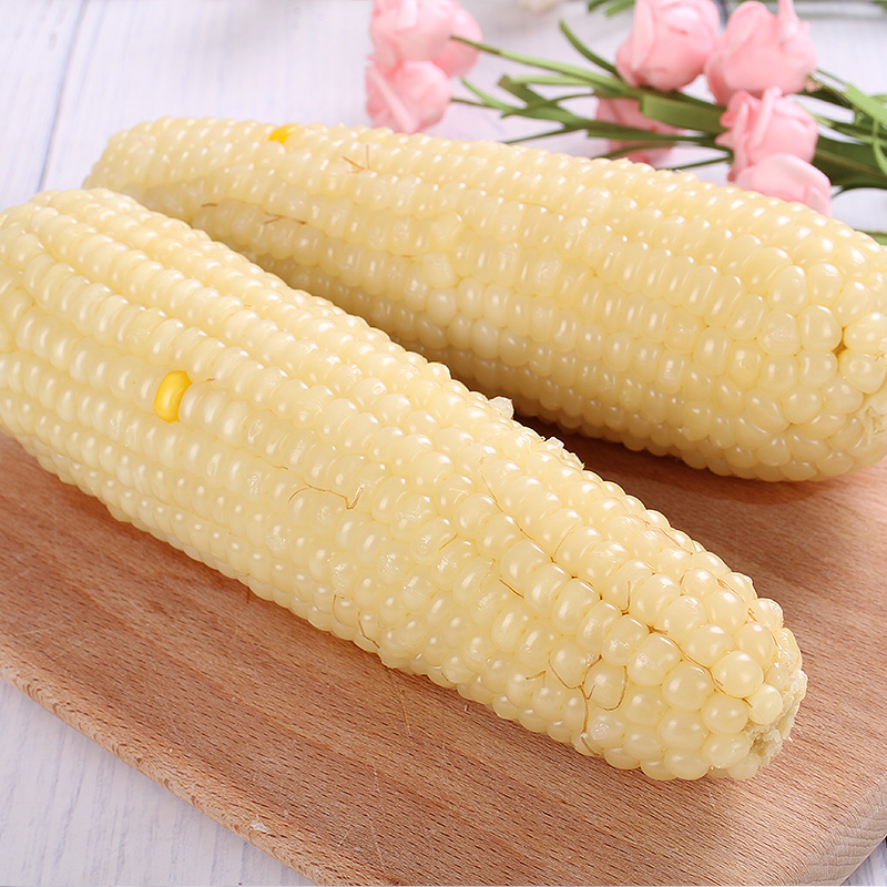 Glutinous Girl White Sweet Glutinous Corn Stick Vacuum Ready-to-use Sticky Corn Cereals Nutritious Breakfast 200g * 20 Zhangjiakou