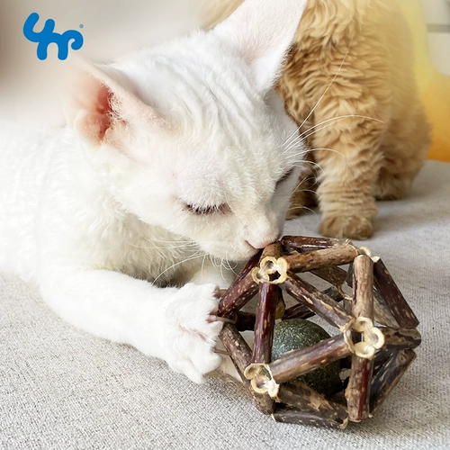 Cat Toys Mogee Wooden Tmall Mint Ballon