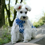 Джинсовая парная одежда с бантиком для влюбленных, платье, комбинезон