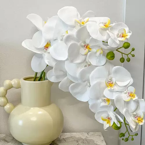 Чистый красный тип подарочный материал Phalaenopsis fal. Бесполучающая цветочная планета Simulus lan