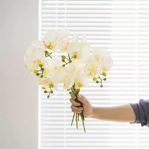 Чистый красный тип подарочный материал Phalaenopsis fal. Бесполучающая цветочная планета Simulus lan