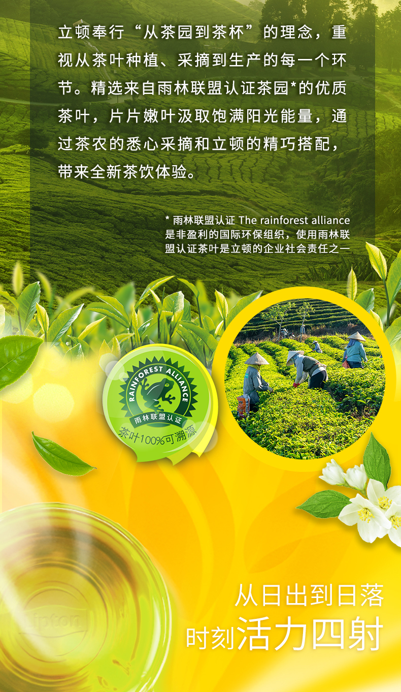 天猫超市 立顿 茉莉花茶 100包 国际雨林联盟认证 图7