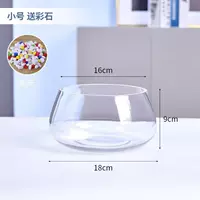 Маленькая черепаха, давая камень