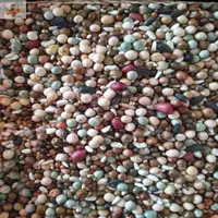 Десять фунтов питательных веществ без кукурузы