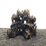 Рыба -аквариум Небольшой рыбные креветки креветки, пяти три цихлиды озера, рыба -гнездо для размножения рыбы Малаха, рыбное гнездо, небольшая рыба, чтобы избежать дома, тонущая древесина