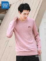 Zhen Weis sweater mens round neck spring and Autumn slim embroidered long-sleeved sweater Korean version of the Hong Kong style thin