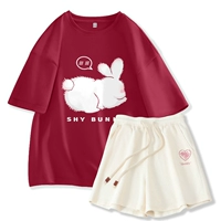 Вишня, застенчивый кролик+абрикосовый порошок сердце k