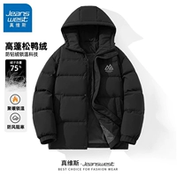 [Пуховик с капюшоном] Черный логотип горы #MZS