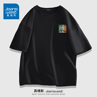 Черный #ZS Color Mountain x