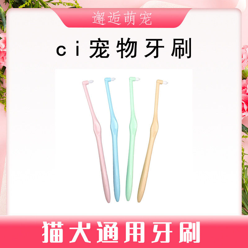 Japanese ci cat toothbrush single bundle flat head pointed dog universal
