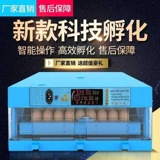 Утиные яйца и инкубатор из птичьего яйца промышленные небольшие выделенные яйца -яиц мини -куриный голубь