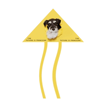 Pet Yorkshire Terrier Bichon Frize Painted Cute Pet Lover Personality Display Holding a Simple Reel Kite Funny