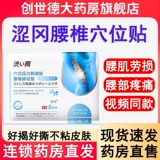 涩冈 Поясничные позвонки