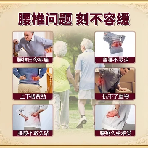 涩冈 Поясничные позвонки