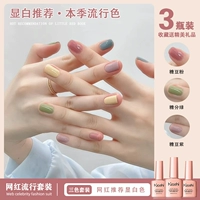 Candy Bean Green+Jelly Bean Purple+Mulc