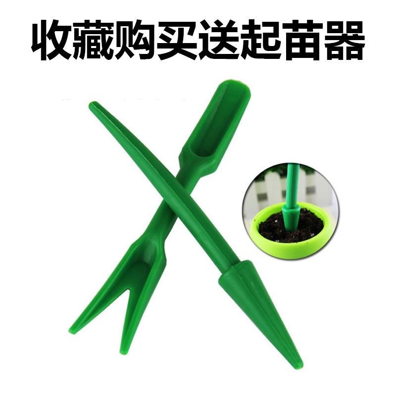 Climbing vine nursery box seedlings succulent leaf insert plug tray nursery tray nursery box nursery pot tray nursery seedling pot