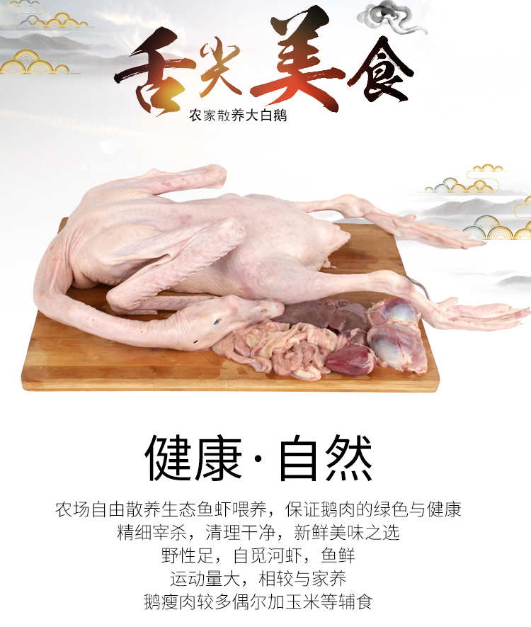 铁锅炖大鹅中的大鹅 杀后重6斤 图3