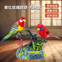 [Известно как обучающая птица] Красная и зеленая двойная версия батареи с двумя птицами