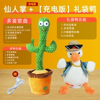 Сумка-чехол с зарядкой, солнцезащитные очки, кактус