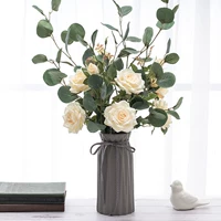 Набор Snow Mountain Eucalyptus (Шампанское H2)