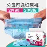 Лобрадор Дюйман Золотой Мао Супер выделенный большой собачий фильм тетя щенки мужской щенки