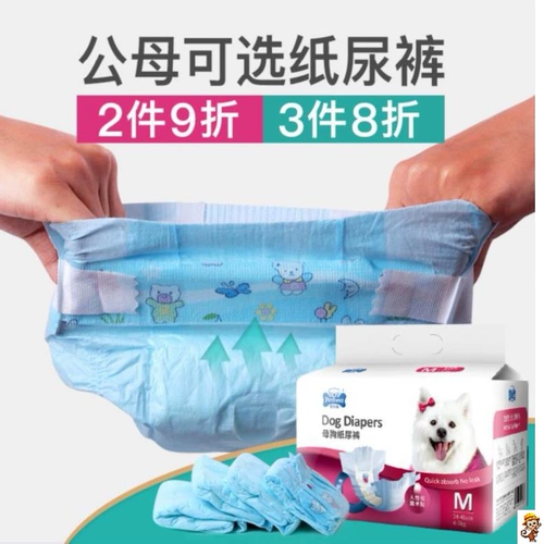 Лобрадор Дюйман Золотой Мао Супер выделенный большой собачий фильм тетя щенки мужской щенки