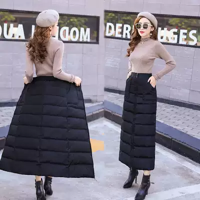 Winter skirt women's autumn and winter New thick down cotton skirt skirt winter long winter dress outside
