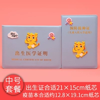 Blue Double INSERT/Medium Size Package (Zodiac Dragon)