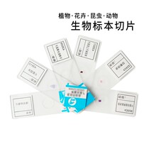 Microscope Specimen Slice Slide Specimen Bio Specimen Suit Junior High School Student Root Tip Stem Hair Slices Children Student Animal Plant Cell Laboratory Teaching Instruments Epidermis Human Blood Smear
