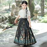 Юбка, летняя одежда, летний элитный комплект, детское ханьфу, китайский стиль