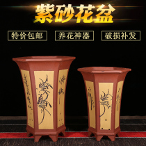 Special price purple sand orchid flower pot large sweating mud breathable purple sand flower pot square hexagonal hexagonal flower pot clearance