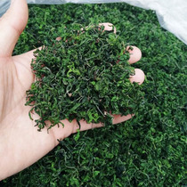 Jujube bud tea specialty sour jujube leaf tea jujube Bud wild spring sprout Tea Mountain jujube Bud Tea Seed tea sprout jujube tea 1