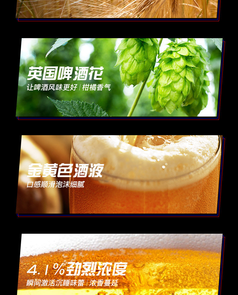 渡鸦 德式小麦精酿啤酒 330ml*6罐 图3