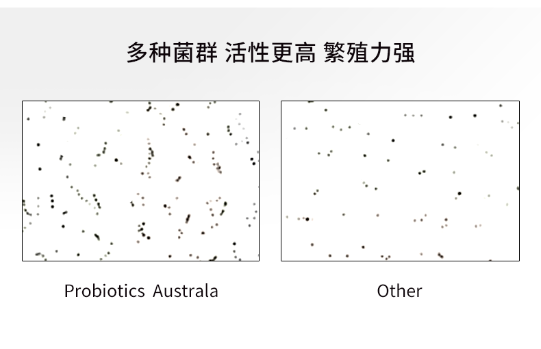 【亿佰天】澳洲进口定植儿童益生菌