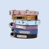 Кожаная кожаная воротника маленькая собака Тедди Белигки Корки Ювелирные изделия из голубо