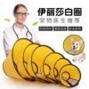Товары от 舒拜宠物用品旗舰店