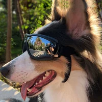 Водонепроницаемые ветрозащитные солнцезащитные очки для плавания, домашний питомец