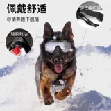 Водонепроницаемые ветрозащитные солнцезащитные очки для плавания, домашний питомец